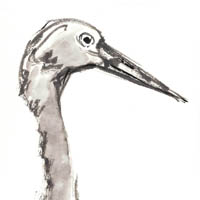 henry-vilas-zo-thumb