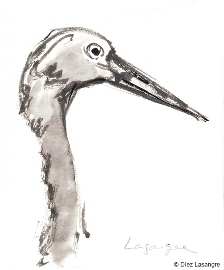 crane grulla
